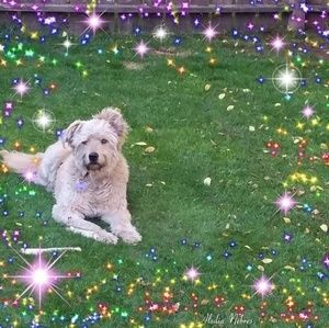 Meet your Posher, Tish